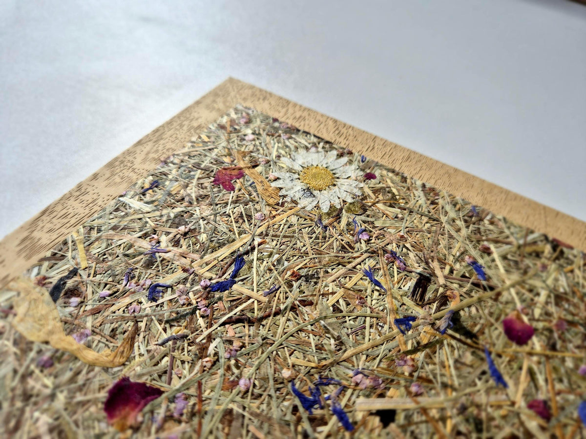 Sweet Nostalgia Standard A5 Journal Bamboo | Alpine Hay and Flower Petals