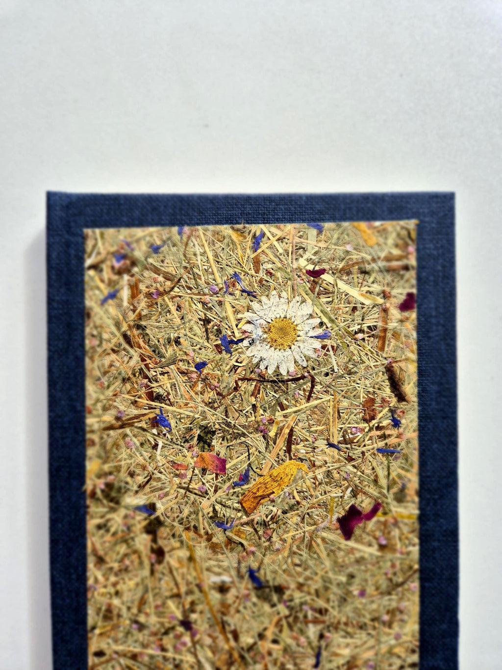 Sweet Nostalgia Standard A5 Journal Blue | Alpine Hay and Flower Petals