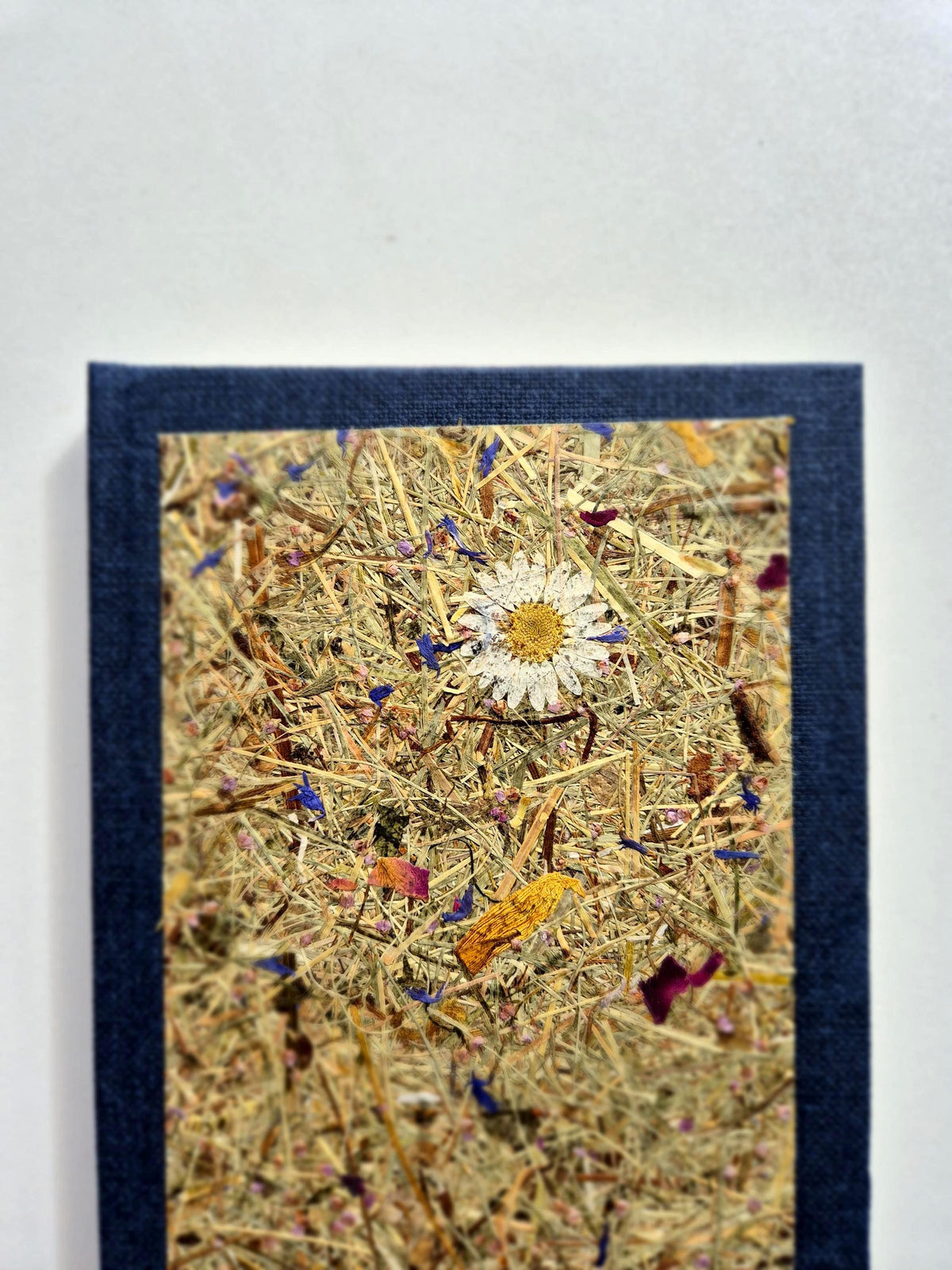 Sweet Nostalgia Standard A5 Journal Blue | Alpine Hay and Flower Petals