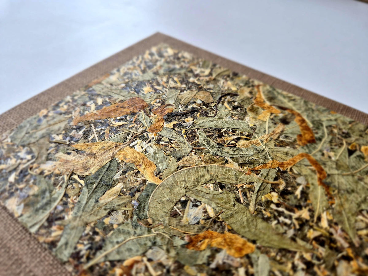 Comfort Time Standard A5 Journal Brown | Sweet Clover Herbal Tea