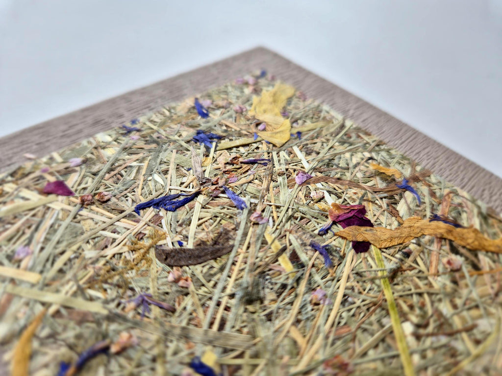 Sweet Nostalgia Pocket-Size A6 Journal Beige | Alpine Hay and Flower Petals