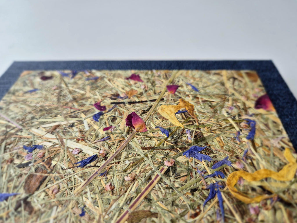 Sweet Nostalgia Pocket-Size A6 Journal Blue | Alpine Hay and Flower Petals