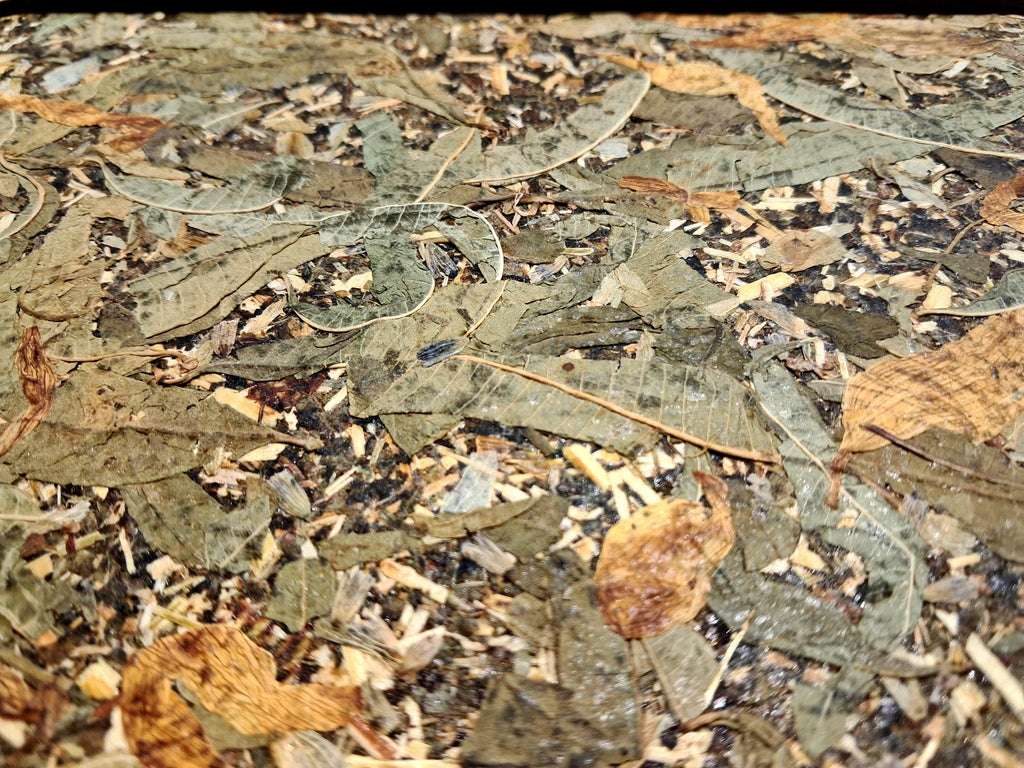 PRE-ORDER Aroma Cover Herbal Tea Handmade Journal | Pressed Flower Diary for Nature Lovers, Coming SOON