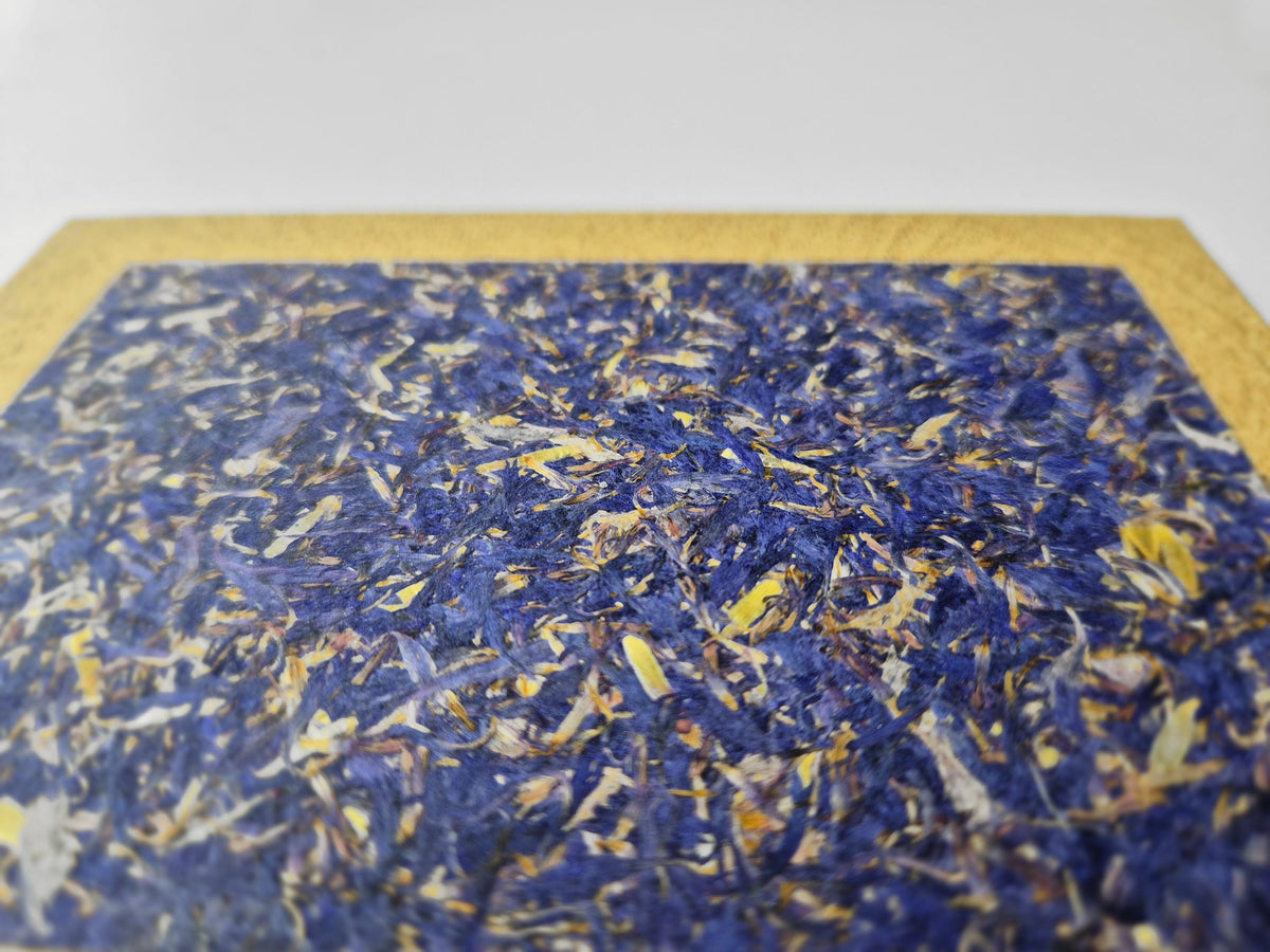 Azure Serenity Pocket-Size A6 Journal Bamboo | Cornflower Blue Sunflower Petals