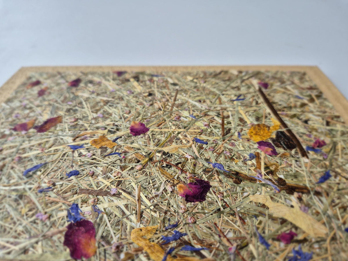 Sweet Nostalgia Standard-Size A5 Replaceable Pad Journal Bamboo | Alpine Hay and Flower Petals