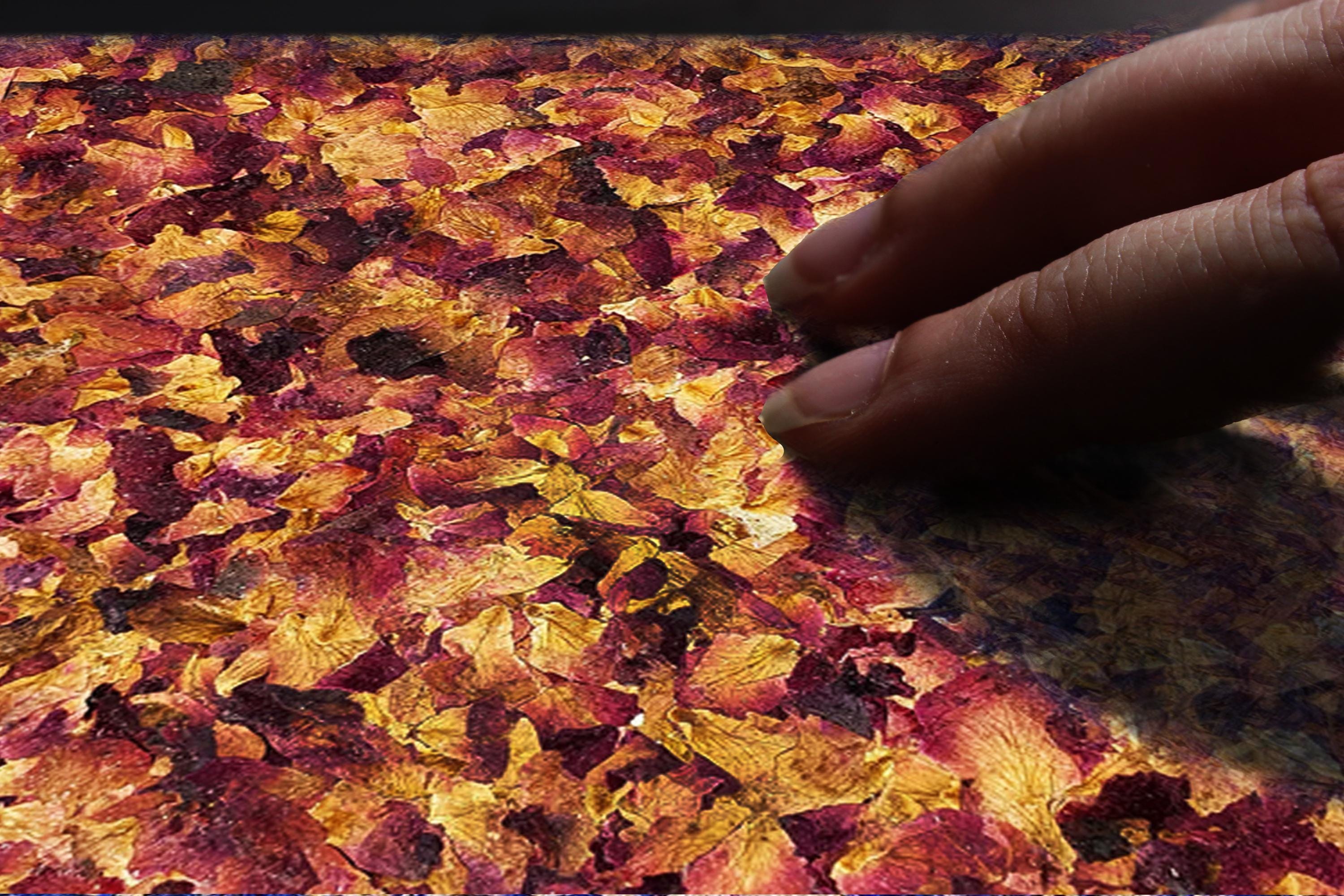 PRE-ORDER Aroma Cover Rose Petals Handmade Journal | Pressed Flower Diary for Nature Lovers, Coming SOON