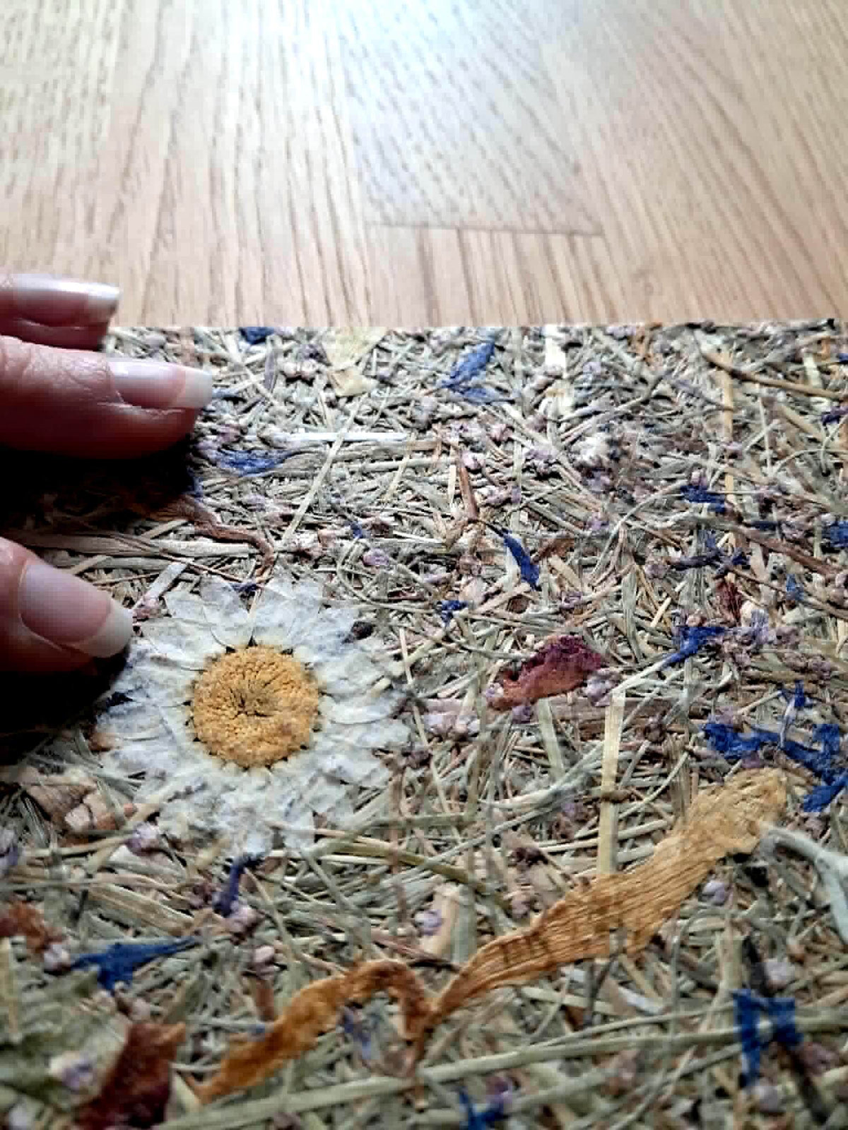 Blue Portrait Aroma Cover Alpine Meadow Handmade Journal, Standard A5 Workbook