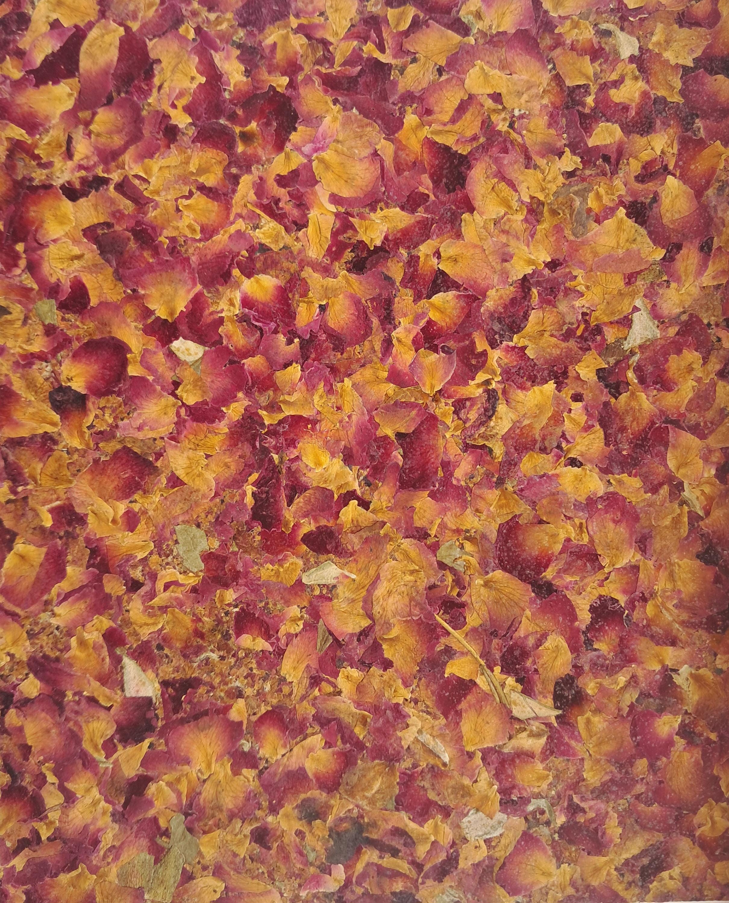 Beige Portrait Aroma Cover Rose Petals Handmade Journal, Standard A5 Workbook