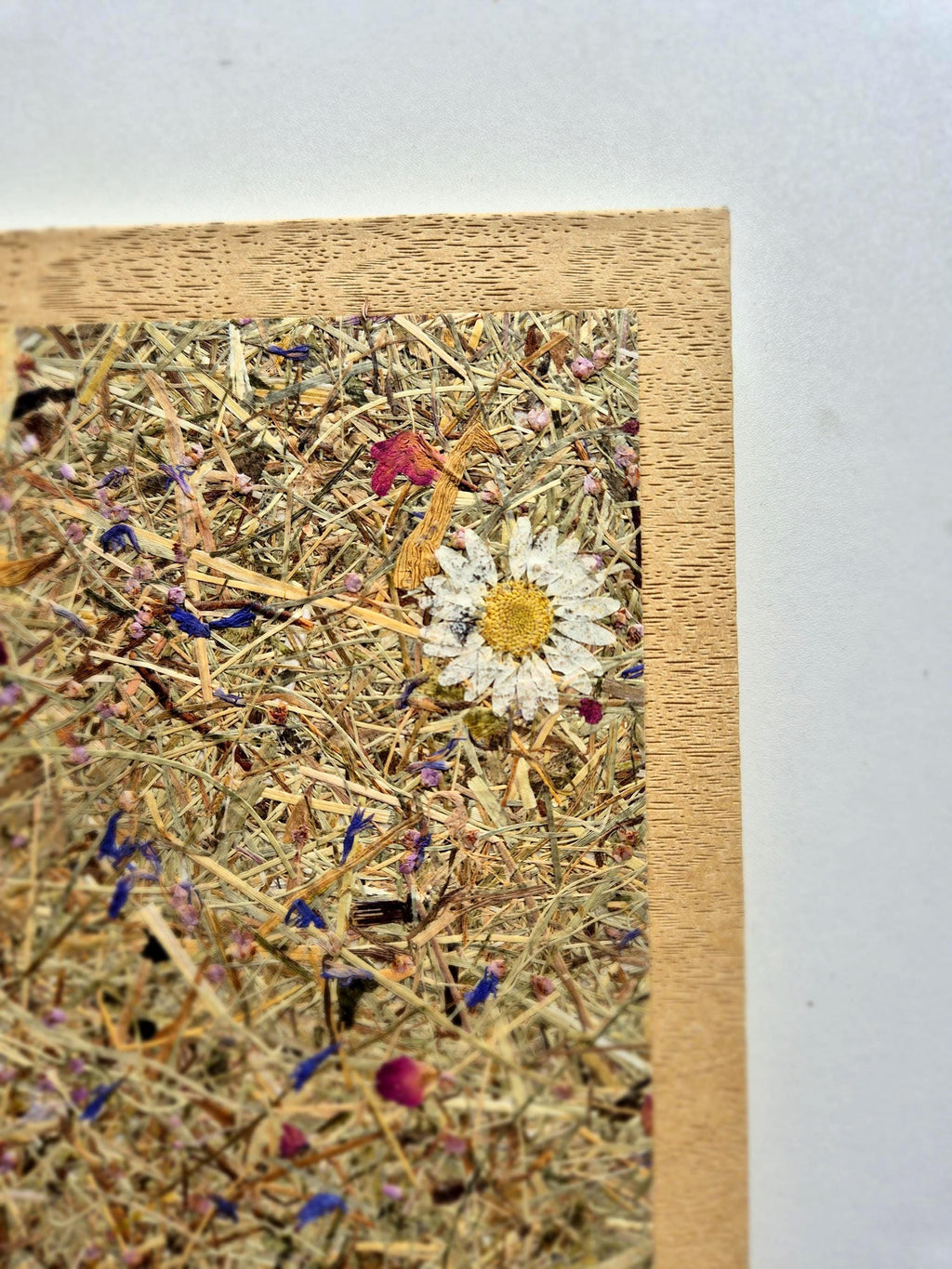 Sweet Nostalgia Standard A5 Journal Bamboo | Alpine Hay and Flower Petals