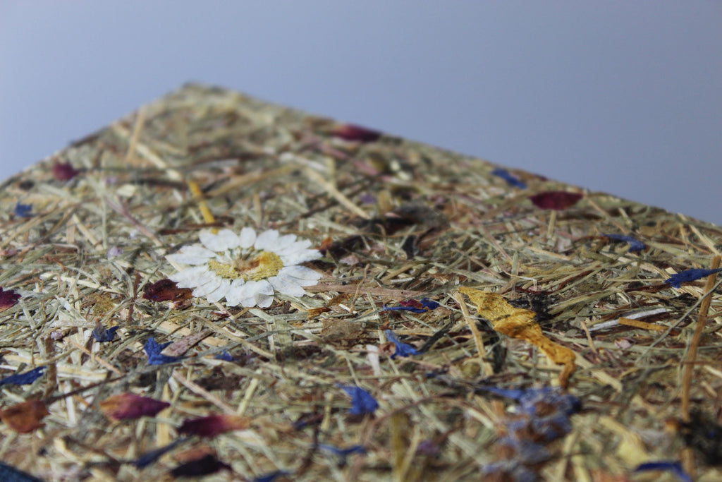 PRE-ORDER Aroma Cover Fragrant Alpine Meadow Handmade Journal | Real Pressed Flowers, Coming SOON