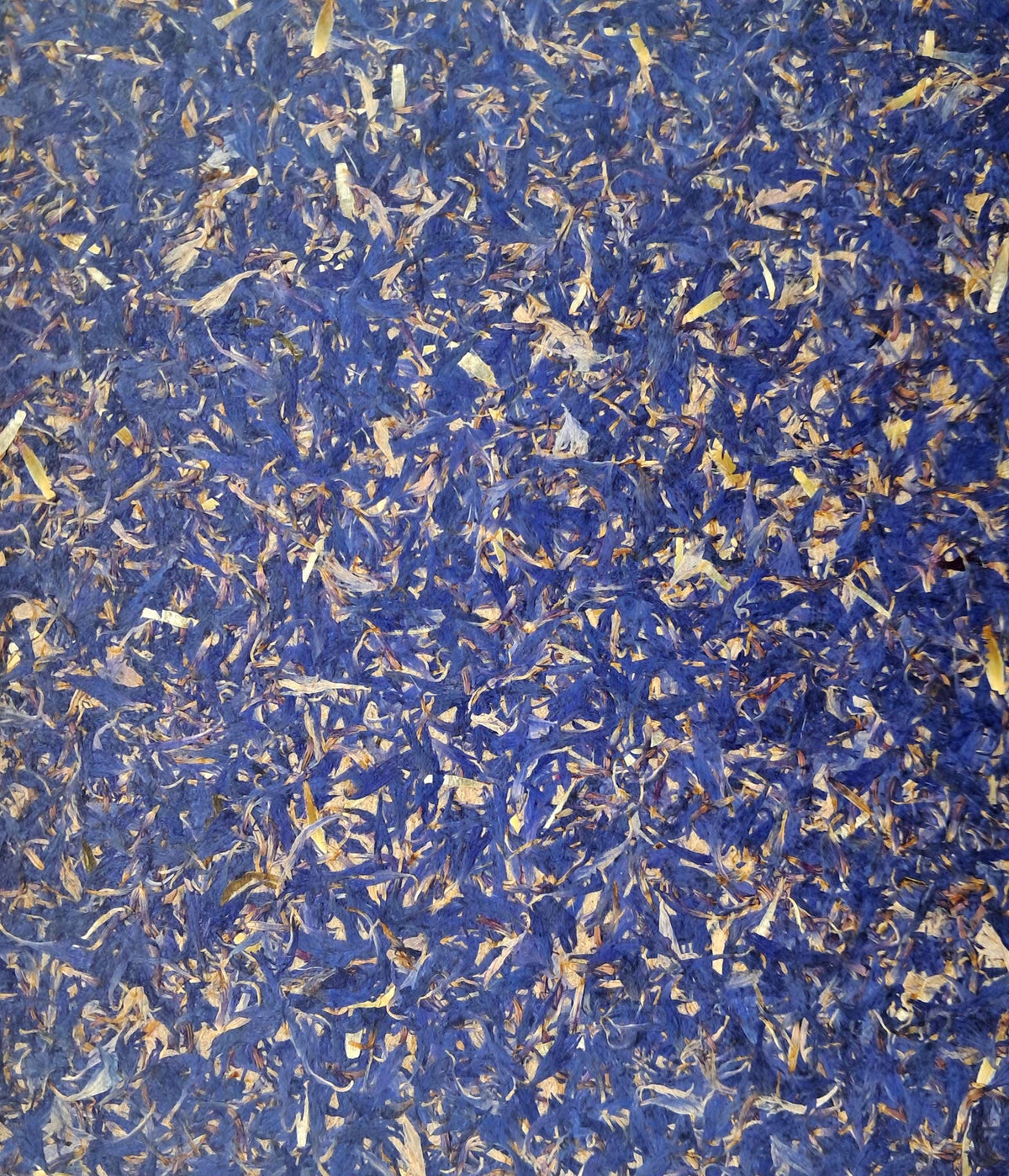 Blue Aroma Cover Cornflower Blue Handmade Journal | Standard A5 Workbook with Replaceable Paper Pad