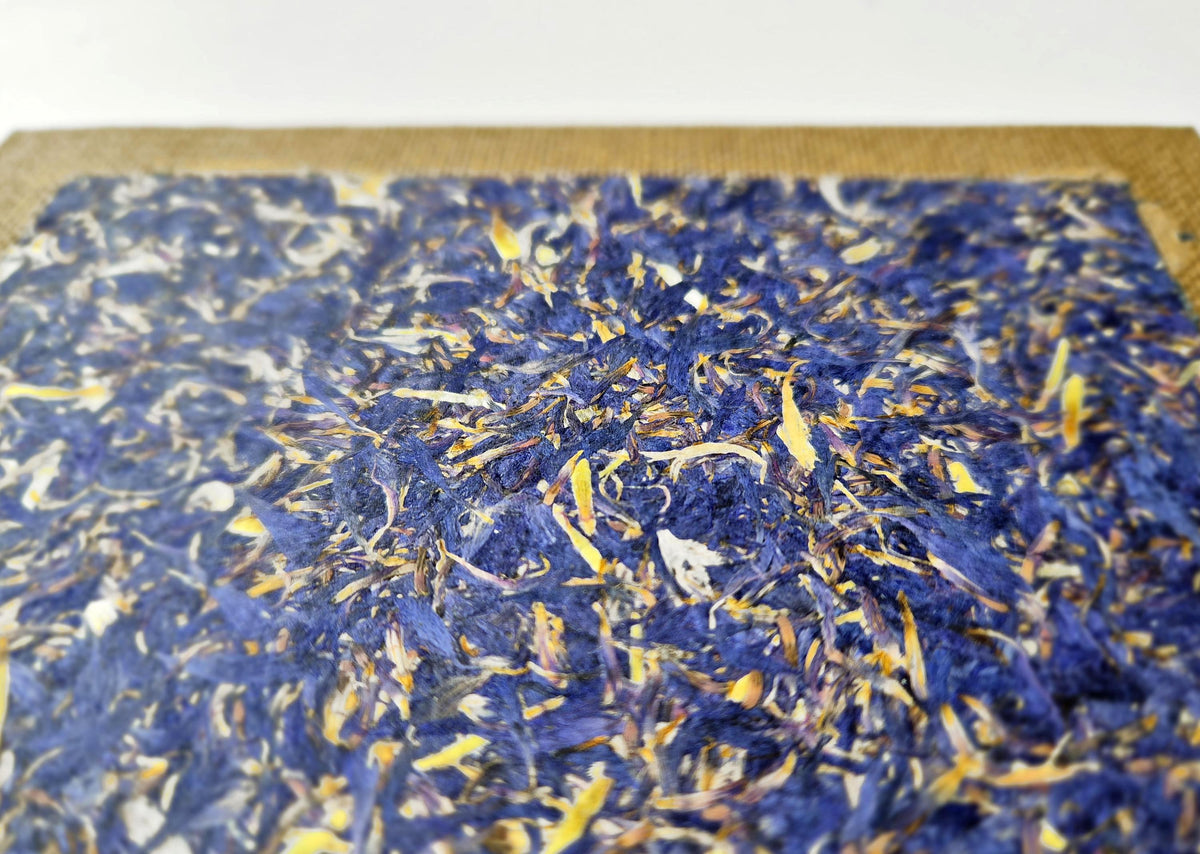 Azure Serenity Pocket-Size A6 Journal Brown | Cornflower Blue Sunflower Petals